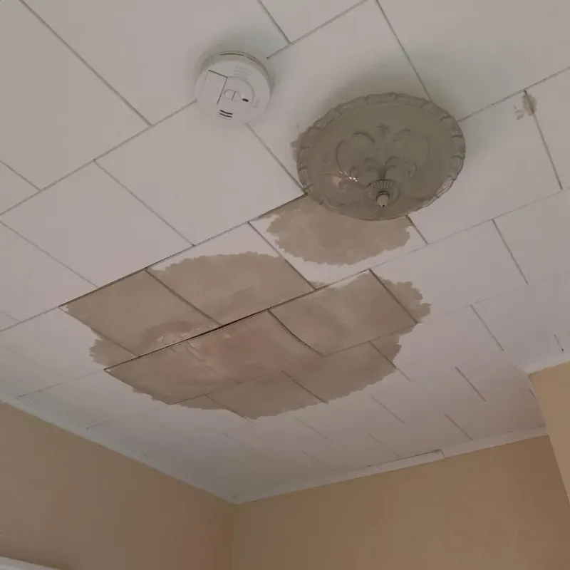 Ceiling Water Damage Repair in Dunkirk, IN