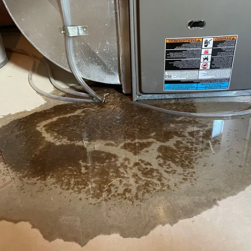 Pipe Burst and Leak Restoration in Dunkirk, IN