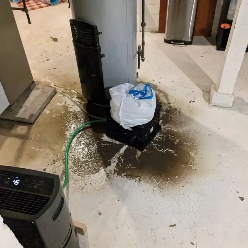 Sewage Backup Cleanup Service in Dunkirk, IN